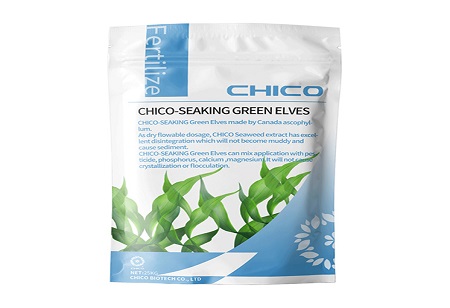 Explore Seaweed Fertilizer Powder: A New Choice of Natural Fertilizer